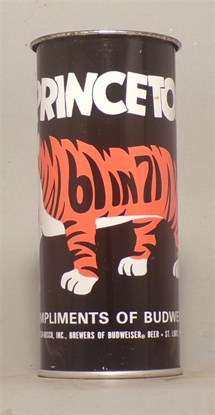 Budweiser Princeton Reunion 61 in 71 Drinking mug