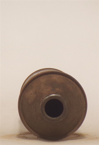 Braumeister Cone Top