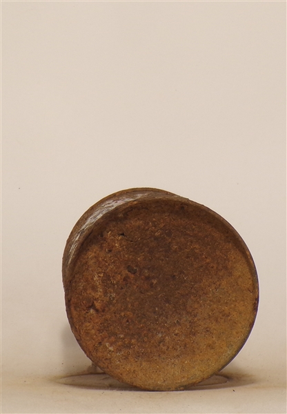 Bushkill Cone Top