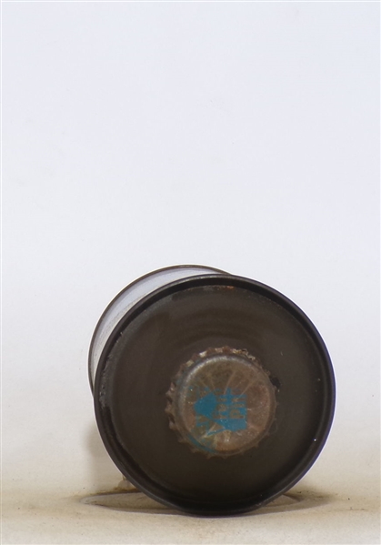 Fort Pitt Cone Top #2
